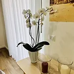 Stabia Planet Bed & Breakfast Castellammare di Stabia